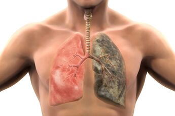 Each inhalation will poison more than 200 harmful compounds